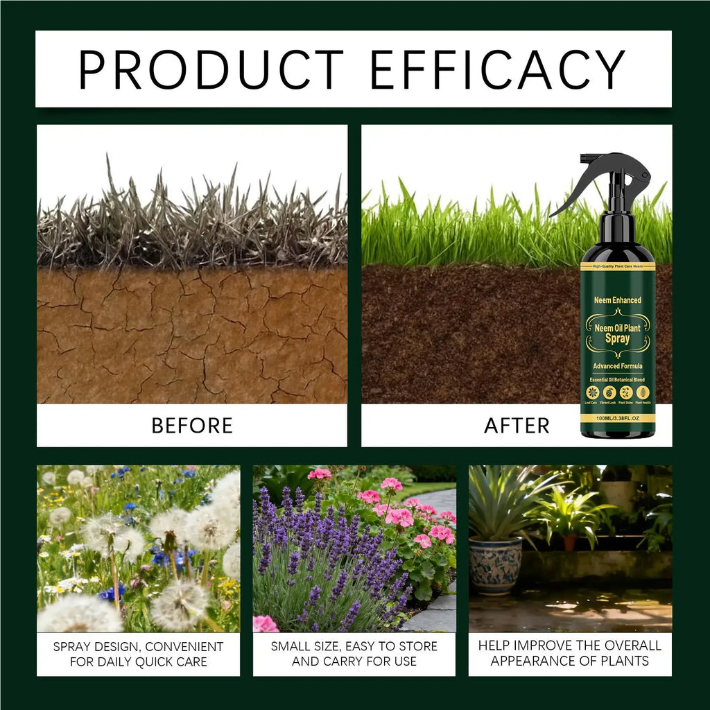 Neem Oil Plant Spray Leaf Cleaner Shine Indoor Outdoor Plants Leaf Nutrient Supplement Long Lasting Protection Plant Health Care