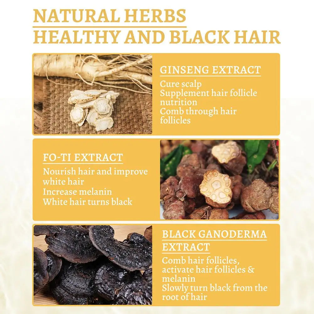 White To Black Hair Oil for Repairing From White To Black Nourishing Moisturizing Scalp Herbal Lotion Liquid Repair Hair Care